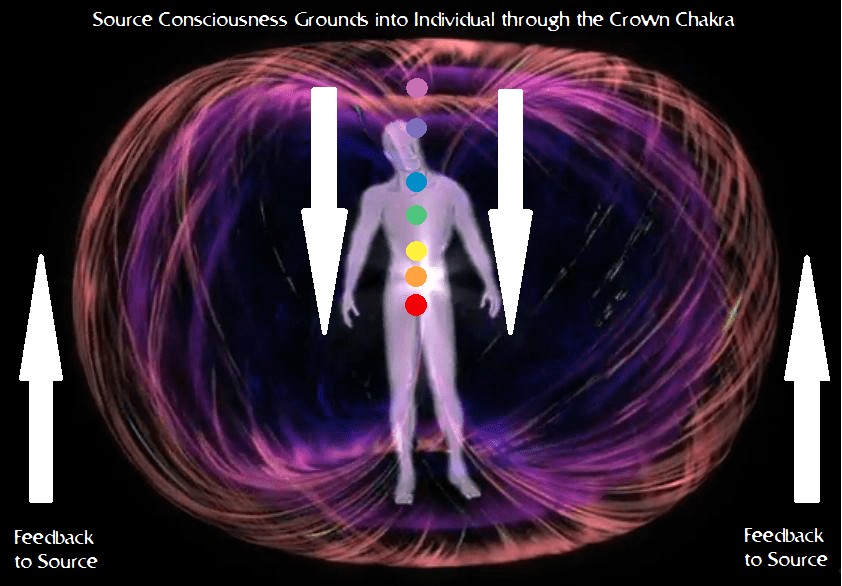 torus-chakras-top-down