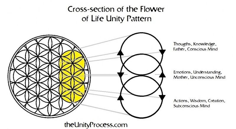 flower-of-life-cross-section-three-in-one-unity