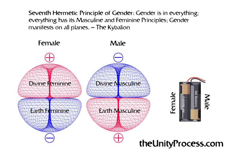 male-and-female-are-not-a-polarity-2